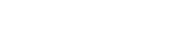 light logo